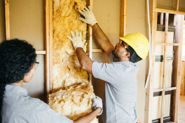 Best Insulation Replacement Services  in Surprise, AZ